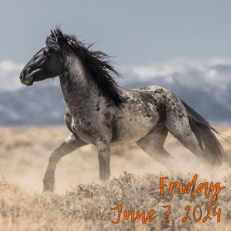 FRIDAY, JUNE 7,&nbsp;2024