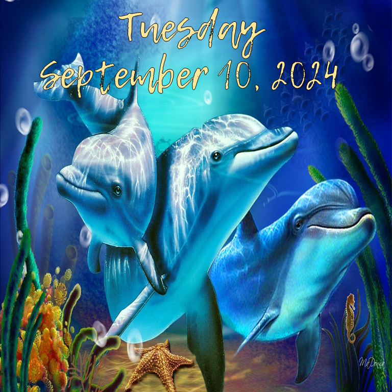 TUESDAY, SEPTEMBER 10,&nbsp;2024