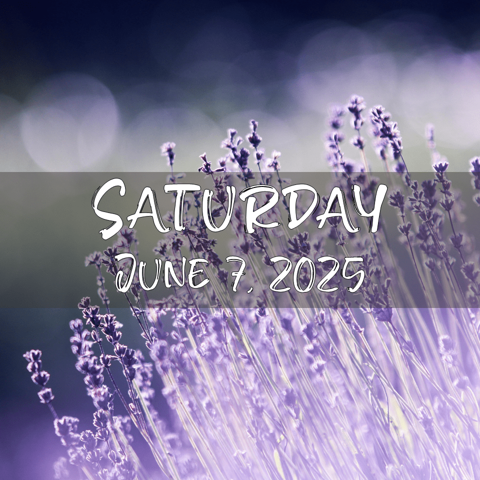 SATURDAY, JUNE 7,&nbsp;2025