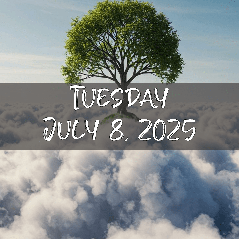 TUESDAY, JULY 8,&nbsp;2025