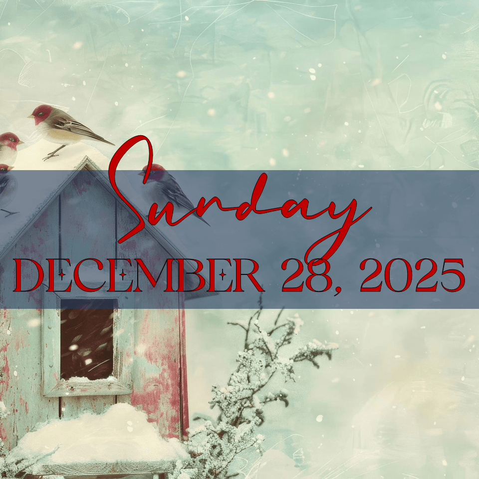 SUNDAY, DECEMBER 28, 2025