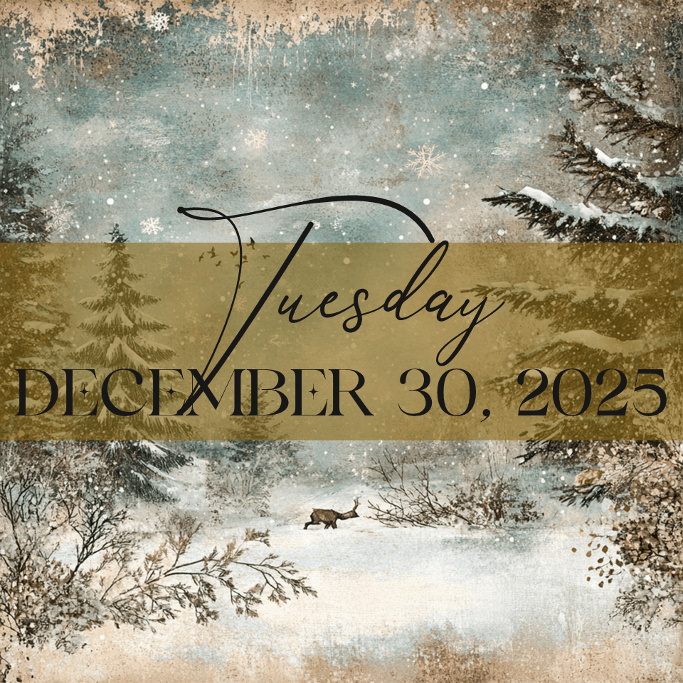 TUESDAY, DECEMBER 30, 2025