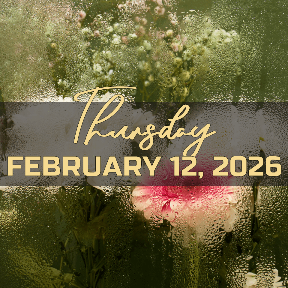 THURSDAY, FEBRUARY 12,&nbsp;2026
