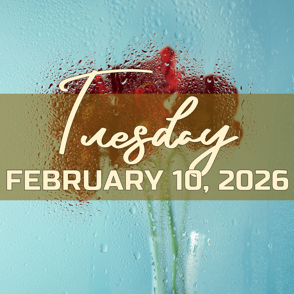 TUESDAY, FEBRUARY 10,&nbsp;2026