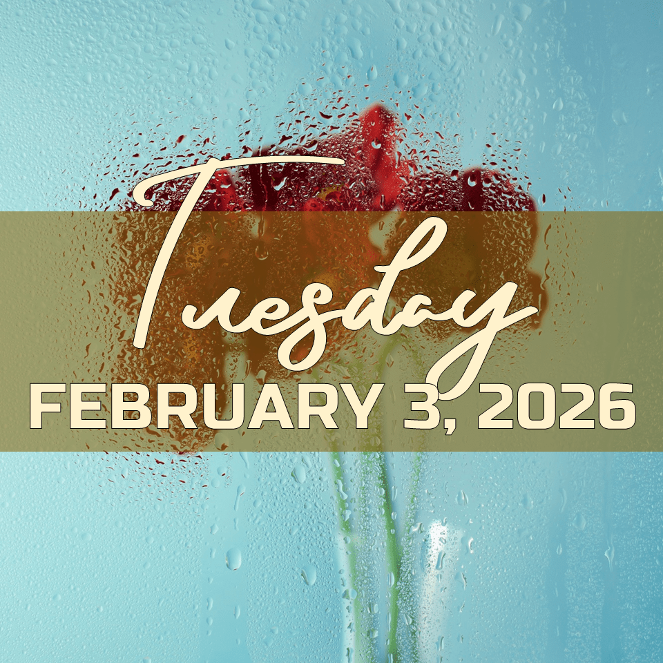 TUESDAY, FEBRUARY 3,&nbsp;2026